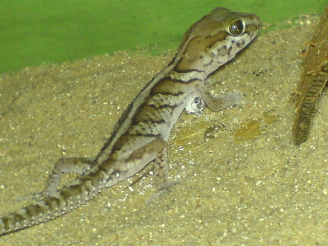 DSC01295.JPG