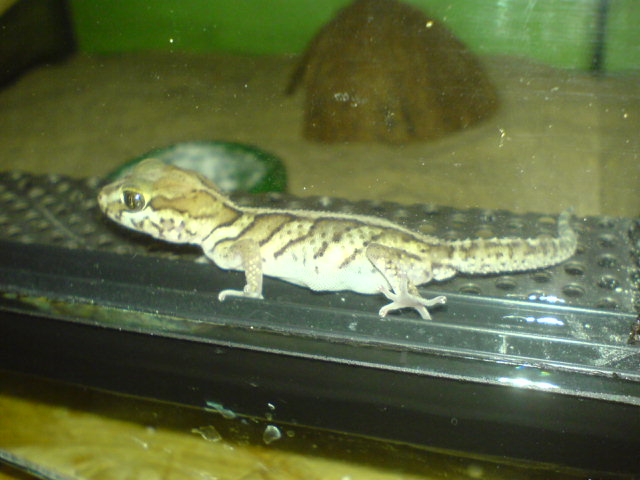 DSC01299.JPG