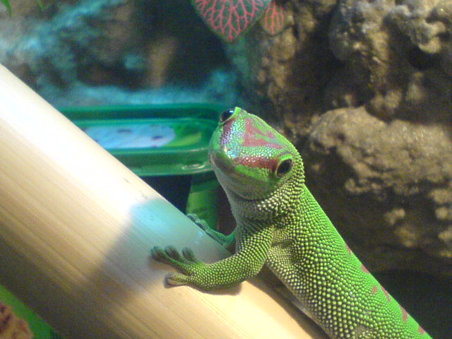 DSC01330.JPG