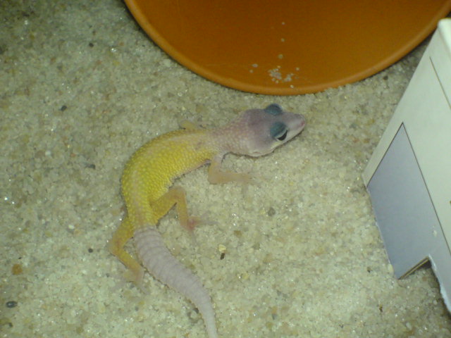 DSC01267.JPG