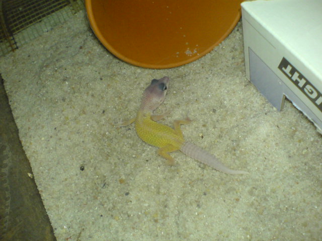 DSC01266.JPG