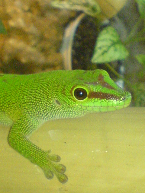 DSC01164.JPG