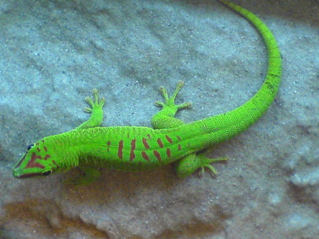 DSC01177.JPG