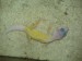 DSC01290.JPG