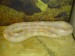 DSC01316.JPG