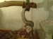 DSC00974.JPG