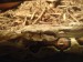 DSC01052.JPG