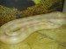 DSC01319.JPG