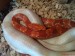 DSC00286.JPG