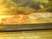 DSC01318.JPG