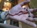 DSC00304.JPG