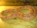 DSC01317.JPG