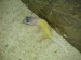 DSC01275.JPG