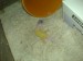 DSC01266.JPG