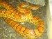 DSC01351.JPG