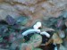 DSC00168.JPG