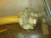 DSC00946.JPG